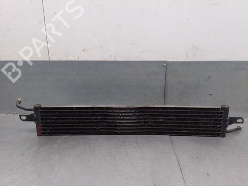 Water radiator LAND ROVER RANGE ROVER SPORT I (L320) 3.6 D 4x4 | BP29595385M31