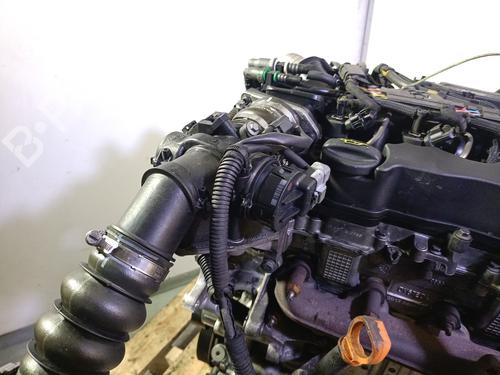 Engine CITROËN BERLINGO / BERLINGO FIRST MPV (MF_, GJK_, GFK_) 1.6 HDI 75 (MF9HW, GJ9HWC, GF9HWC, GN9HWC) | BP29395466M1 