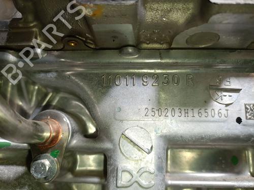 Engine NISSAN JUKE (F16_) 1.0 | BP31987828M1 