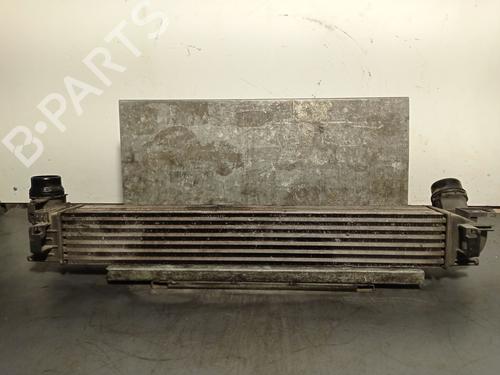 Intercooler RENAULT MEGANE IV Saloon 1.5 dCi 110 | BP29453356M30 