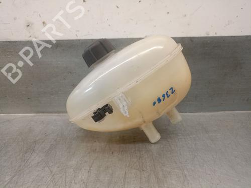 Used Expansion tank RENAULT TWINGO III (BCM_, BCA_) 0.9 TCe 90 (BCM9, BCM2) (90 hp) 29480022