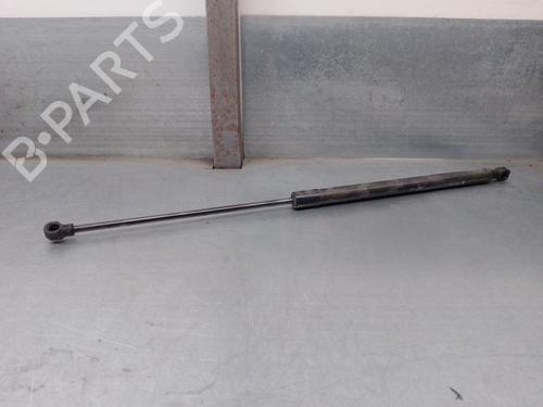 Used Hood lift support DACIA SANDERO II 1.5 Blue dCi 95 (B8JL) (95 hp) 17648493