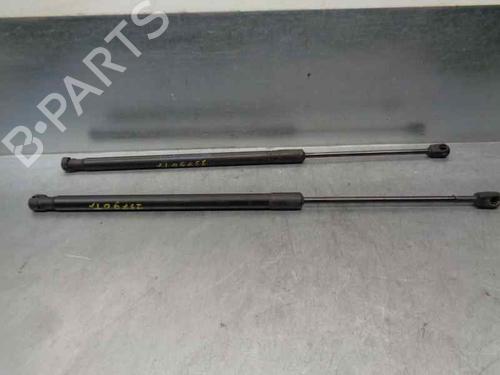 Tailgate lift support OPEL MERIVA B MPV (S10) 1.3 CDTI (75) | BP21020472C138 