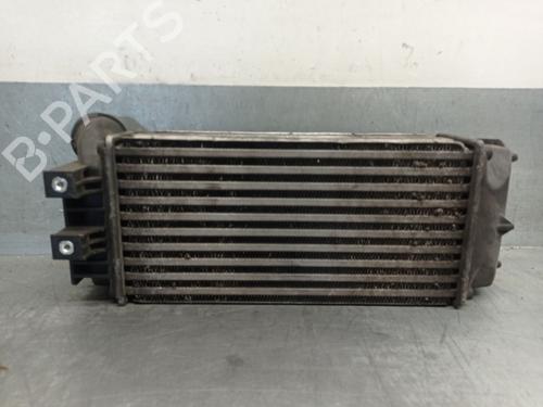 Intercooler RENAULT LAGUNA III (BT0/1) 1.5 dCi (BT00, BT0A, BT0T, BT1J) | BP27834111M30