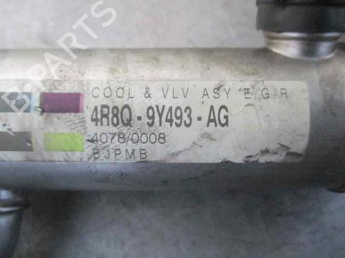 Egr JAGUAR S-TYPE II (X200) 2.7 D | BP2595490M69 