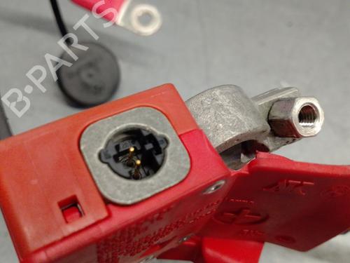 Cable BMW 3 (F30, F80)  | BP29509880E12 
