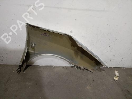 Left front fenders PEUGEOT EXPERT Van (222) 2.0 HDI | BP29312189C41 