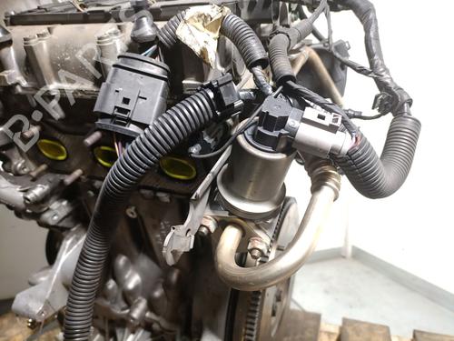 Engine SEAT IBIZA III (6L1) 1.2 | BP31183361M1