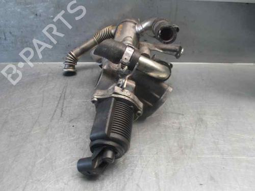 Egr FIAT DOBLO Box Body/MPV (223_) 1.3 JTD 16V | BP5268190M69 