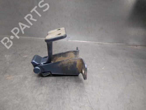 Hinge/Door check strap RENAULT KANGOO / GRAND KANGOO II (KW0/1_)  | BP16026631C146 
