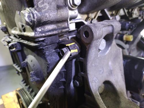 Engine RENAULT SCÉNIC II (JM0/1_) 1.6 16V (JM1R) | BP30330384M1