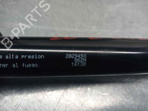Tailgate lift support JEEP GRAND CHEROKEE II (WJ, WG) 2.7 CRD 4x4 | BP20261837C138 