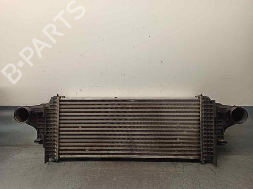 Used Intercooler MERCEDES-BENZ R-CLASS (W251, V251) [2005-2017]  11294109