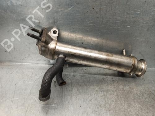 Egr RENAULT VEL SATIS (BJ0_) 3.0 dCi (BJ0J, BJ0N) | BP20263990M69 