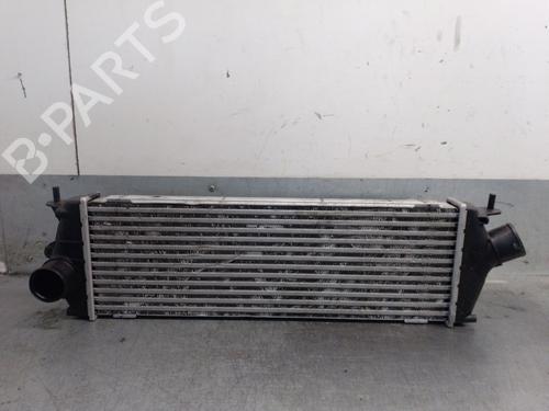 Used Intercooler RENAULT TRAFIC II Bus (JL) 2.0 dCi 115 (JL00, JL01, JL0H, JL0M, JL0U) (114 hp) 32343327