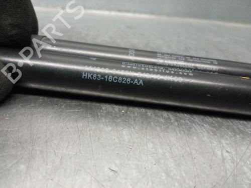 Hood lift support JAGUAR F-PACE (X761) 2.0 TD4 | BP30169564C139