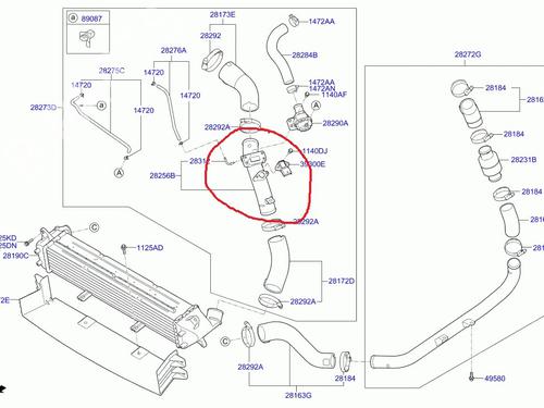 Pipe HYUNDAI i30 FASTBACK (PDE, PDEN) 1.4 T-GDI | BP36032777M125 - Image 6