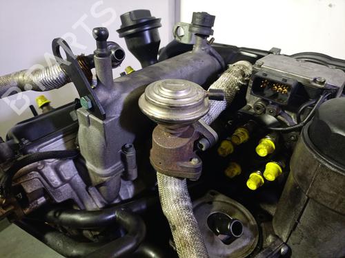 Moteur AUDI A6 C5 (4B2, 4B4) 2.5 TDI | BP29821333M1 