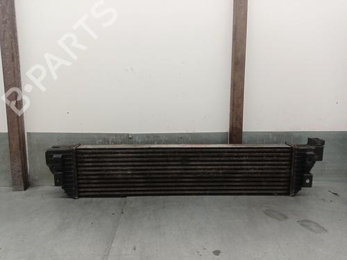 Intercooler RENAULT MASTER III Van (FV) 2.3 dCi 130 FWD (FV0M, FV0Y, FV0J, FV02, FV03) | BP30760279M30