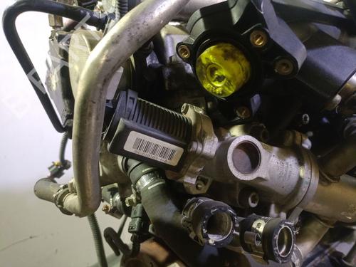 Engine FIAT GRANDE PUNTO (199_) 1.3 D Multijet | BP28302750M1 