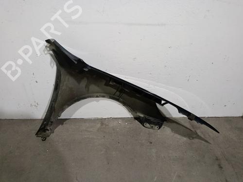 Left front fenders SKODA OCTAVIA II (1Z3) 1.6 TDI | BP32256515C41