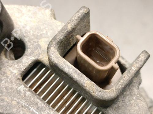 Alternator FIAT TALENTO Van (296_) 1.6 D | BP31805225M7 