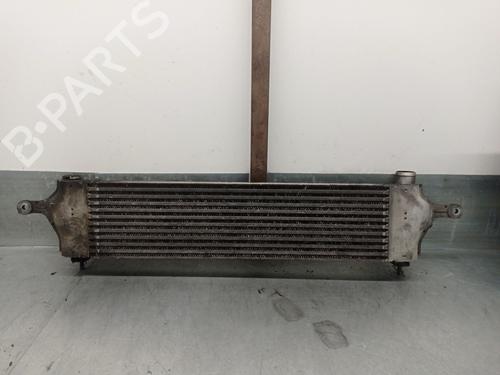 Intercooler NISSAN QASHQAI I (J10, NJ10) 2.0 dCi | BP30755137M30 