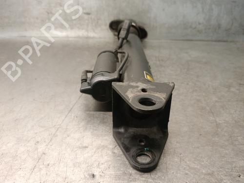 Left rear shock absorber MERCEDES-BENZ R-CLASS (W251, V251) R 350 4-matic (251.065, 251.165) | BP29748380M18 