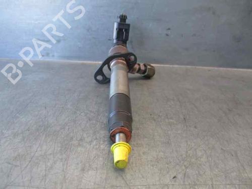 Injector LAND ROVER RANGE ROVER SPORT I (L320) 2.7 D 4x4 | BP6875090M100 