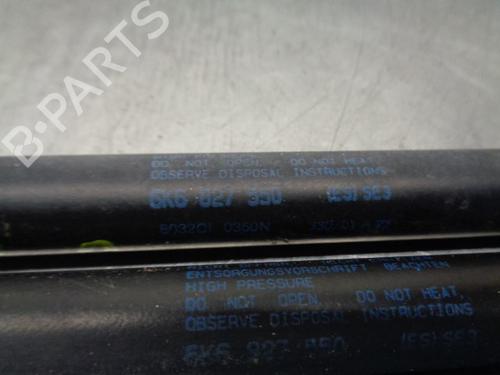 Tailgate lift support SEAT IBIZA II (6K1) 1.9 SDI | BP20266588C138 