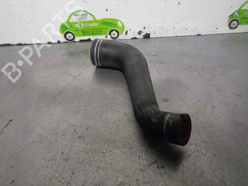 Pipe FIAT DOBLO Box Body/MPV (223_) 1.3 JTD 16V | BP20253287M125 