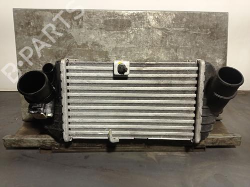 Used Intercooler HYUNDAI BAYON (BC3) 1.0 T-GDI (101 hp) 25243804