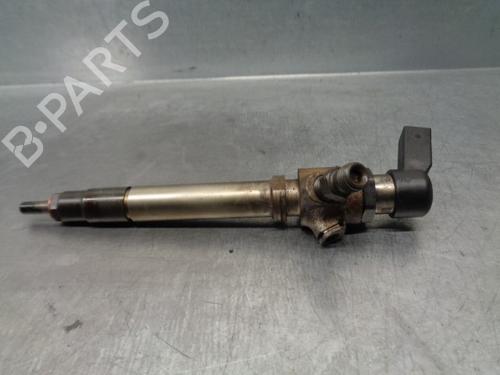 Injector LAND ROVER RANGE ROVER SPORT I (L320) 2.7 D 4x4 | BP12533194M100 