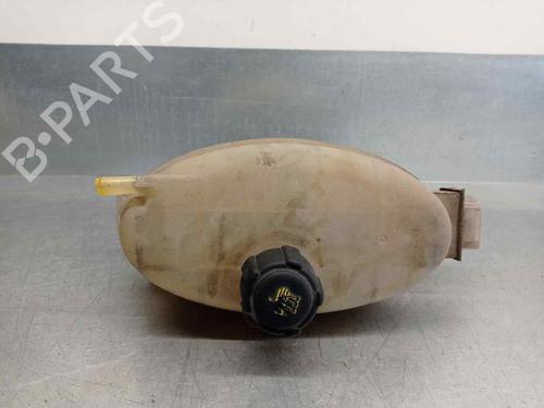 Expansion tank NISSAN PRIMASTAR Van (X83) 1.9 dCi 80 | BP11938527C120 