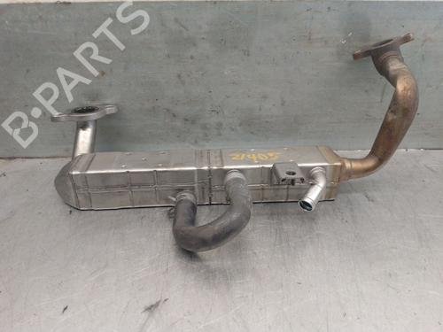Egr SUBARU LEGACY V (BM) 2.0 D AWD (BMD) | BP21578982M69 