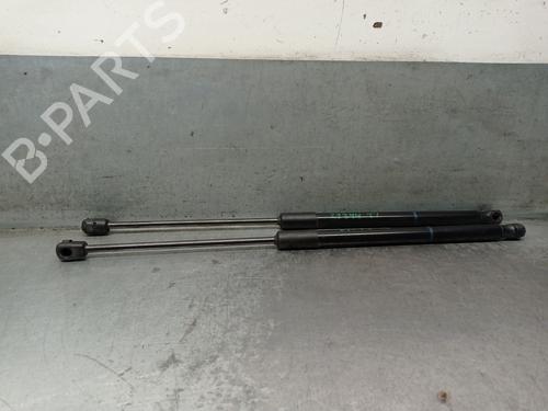 Tailgate lift support SKODA OCTAVIA III (5E3, NL3, NR3) 1.5 TSI 5E5827550Q | 198871