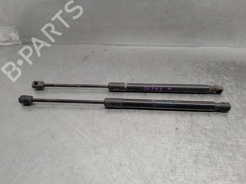 Used Tailgate lift support RENAULT MEGANE III Hatchback (BZ0/1_, B3_) 1.2 TCe (BZ2B, BZ11) (116 hp) 17897551