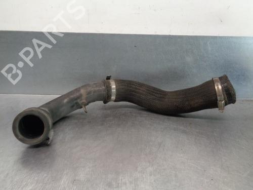 Pipe SSANGYONG RODIUS I  | BP20264480M125 
