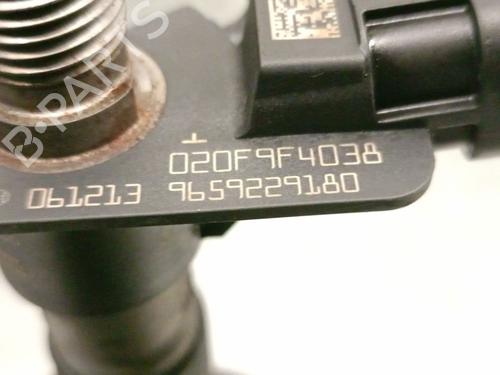Injector LAND ROVER FREELANDER 2 (L359) 2.2 TD4 4x4 | BP25933160M100 