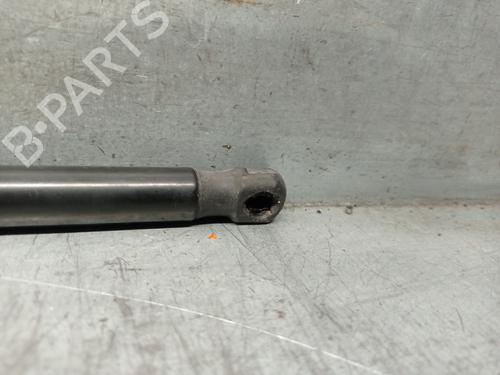 Hood lift support VW SHARAN (7N1, 7N2) 2.0 TDI | BP21839695C139 