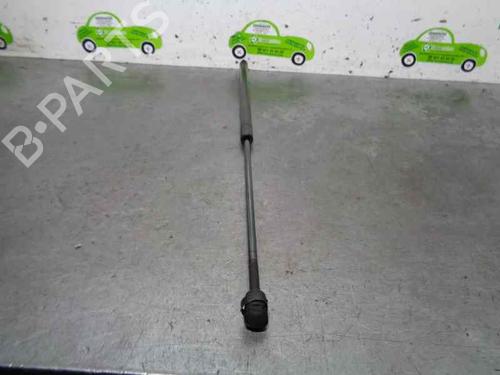 Hood lift support SAAB 9-3 (YS3F, E79, D79, D75) 1.9 TiD | BP20251807C139 