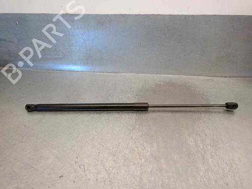 Hood lift support VW TOUAREG (7LA, 7L6, 7L7) 3.2 V6 | BP18119508C139 