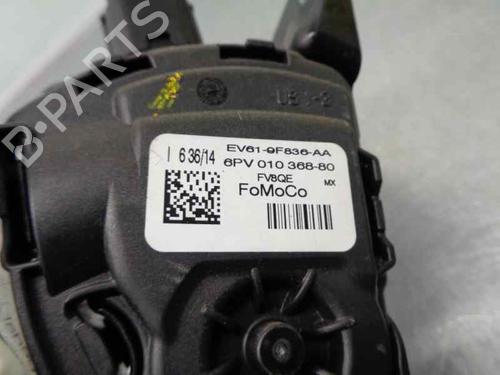 Pedal FORD FOCUS III  | BP6559736I4 