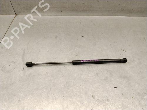 tailgate-lift-support-citroen-c2-jm_-2003-2004-2005-2006-2007-2008-2009-2010-2011-2012-2013-2014-2015-2016-2017-38348423 main image
