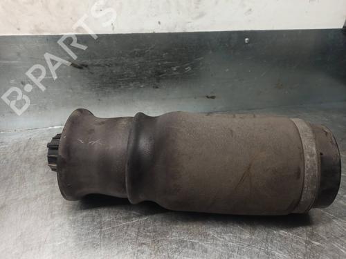 Left rear shock absorber MERCEDES-BENZ M-CLASS (W164) ML 320 CDI 4-matic (164.122) | BP8801613M18 
