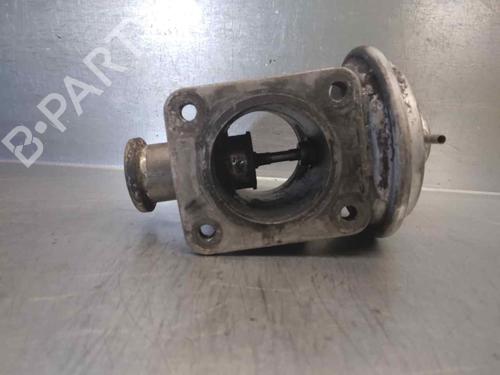 Egr BMW 5 (E39) 530 d | BP10176669M69 