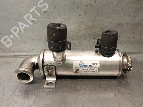 Used Egr Egr 38488932 38488932