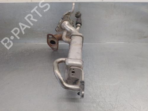Egr RENAULT KANGOO Express (FW0/1_) 1.5 dCi 75 (FW07, FW10, FW04) | BP29632253M69 