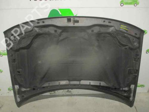 Hood JEEP GRAND CHEROKEE II (WJ, WG) 2.7 CRD 4x4 | BP3357825C1 