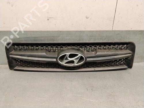 Used Grille Grille 39200531 39200531